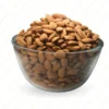 American Badam -760 - Image 2